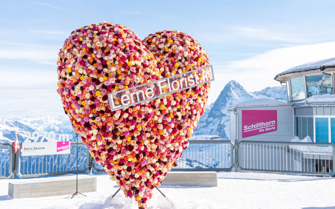 Grösstes Blumenherz Europas auf dem Schilthorn-Gipfel